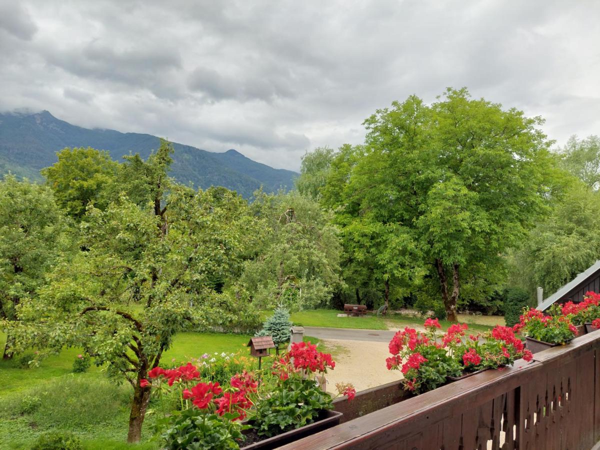 Apartments Susnik Bohinj Exterior foto